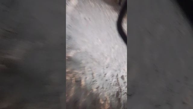 VAGIFOK 113.777 3 МЕТОД ПРЕДСКАЗАНИЯ ЧЕРЕЗ ОЩУЩЕНИЯ 1 ЧАСТЬ.mp4