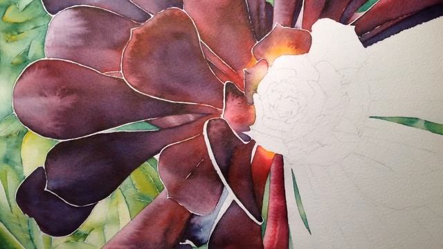 Purple Aeonium Succulent in Watercolour markers // Aquamarker time-lapse painting