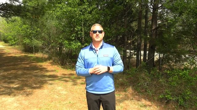 Allergies: How to survive this allergy season