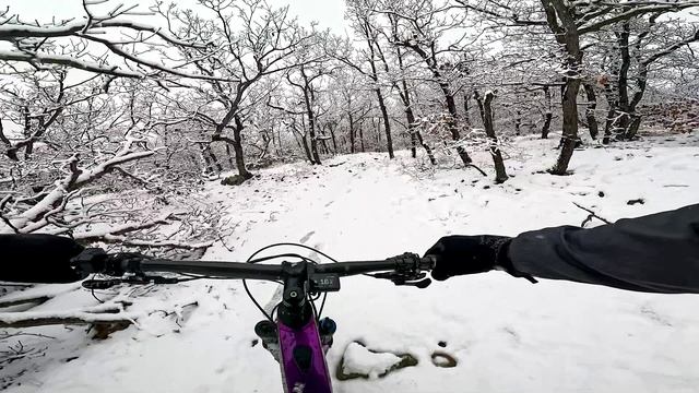 Трейл Мховый. Алушта. Февраль 2025. https://app.gdetrail.ru/?trail=72