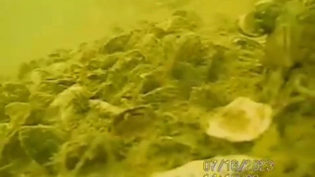 1000038447.mp4Волга.16.02.2025г.