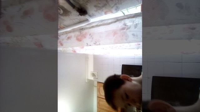 VID_20250215_125541.mp4
