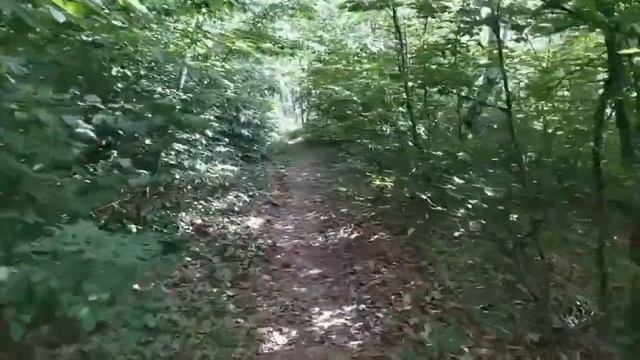Молодой а уже с каким опытом.