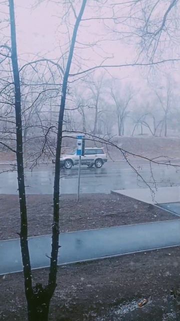 С праздником 1 мая! Идёт снег.