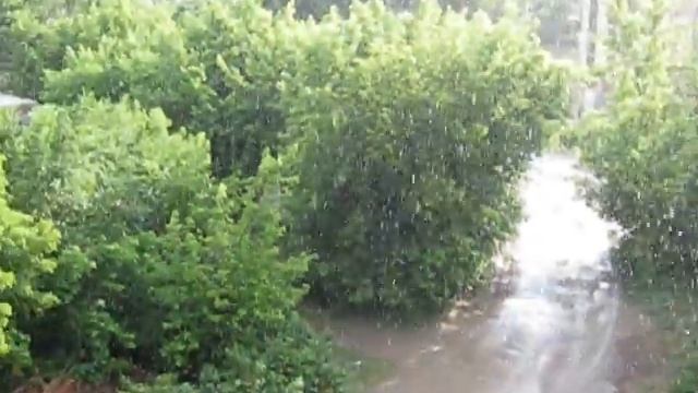 Грибной дождь в Караганде 21.06.2014