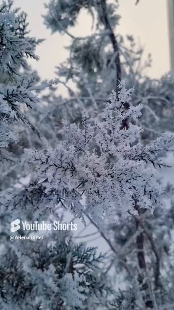 Забота о себе