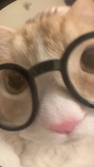 Hi