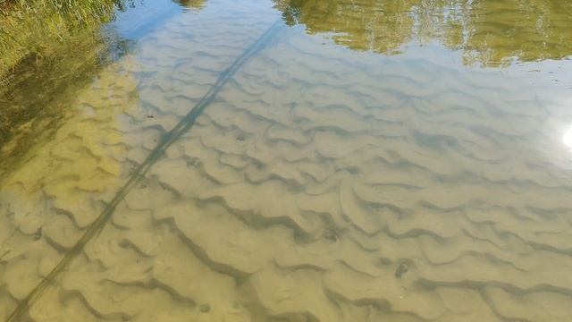 VID_20240922_144528