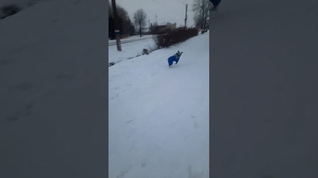 Марс и игрушка