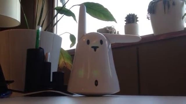 Mon lapin m'alerte...
