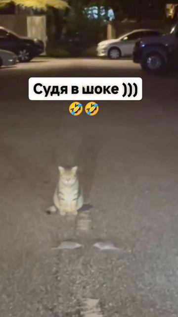 😂😂😂
