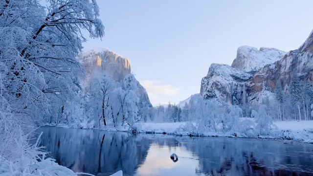 4K UHD Зима в национальном парке Йосемити. Заснеженная река Мерсед и расслабляющая природа, звуки