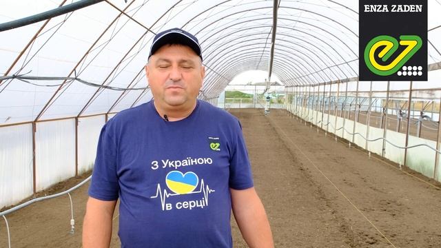 Віенна F1 редис від компанії Enza Zaden. Осінній посів.