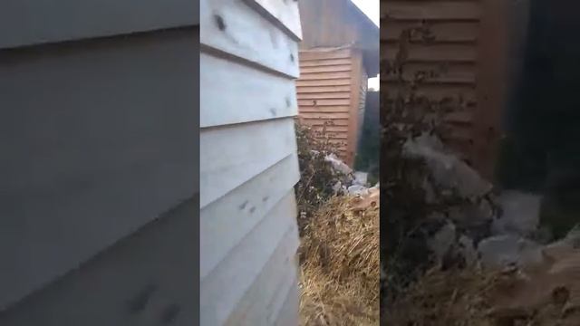 Баня часть 5