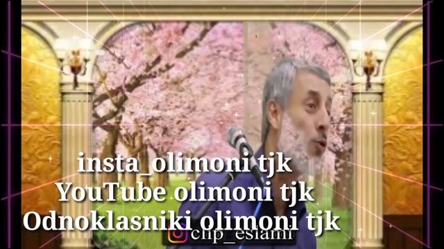 #ШАЙХ #Пурдил бозори ясриб #Shaykh #Purdil #الله