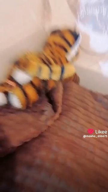 Полосатик зажегает😇