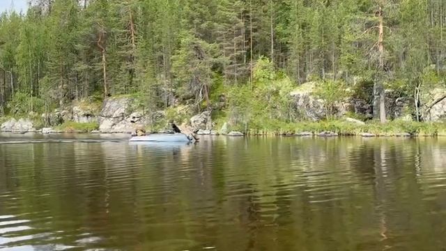 На пешем лодку паркуем