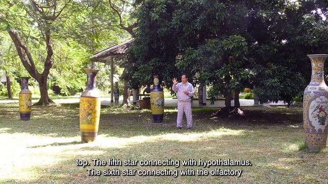 How are stars related to human beings? Grandmaster Mantak Chia shares ancient Taoist wisdom🙏🏻