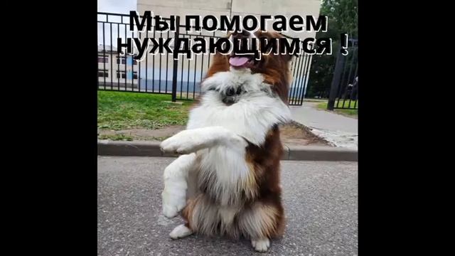 16 ноября 2022 г.