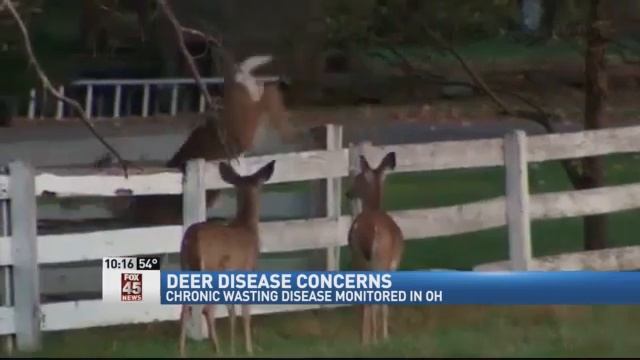 ODNR Cautions Hunters About Chronic Wasting Disease in Deer