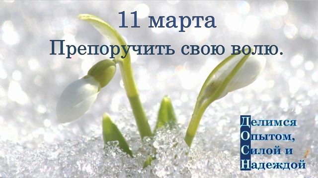 11 марта. Препоручить свою волю.