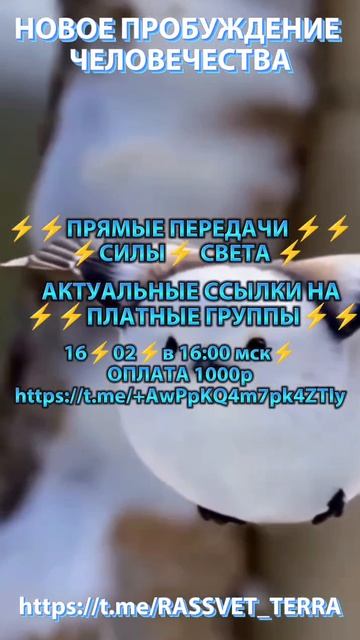1000063930.mp4