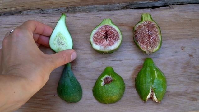 5 Ways to Know if a Fig is Ripe