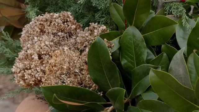 Creating Beautiful Winter Floral Displays