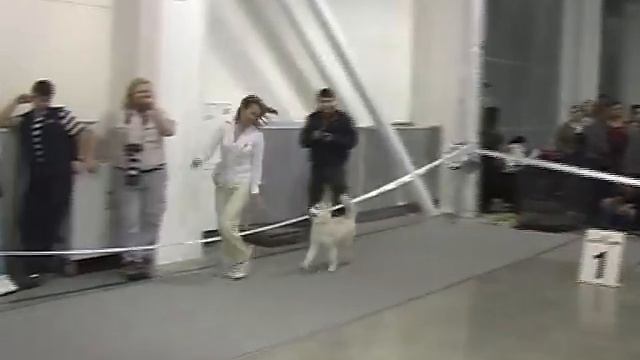 Перезимуем