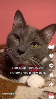 этот мир прекрасен потому что в нём есть, Я и мой компьютер!