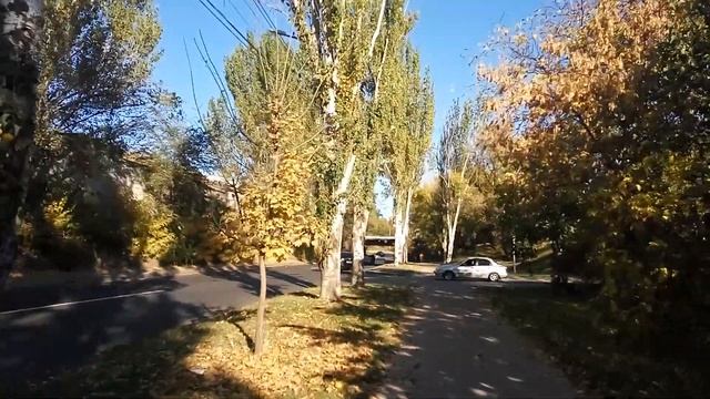 Полиция vs Байкер