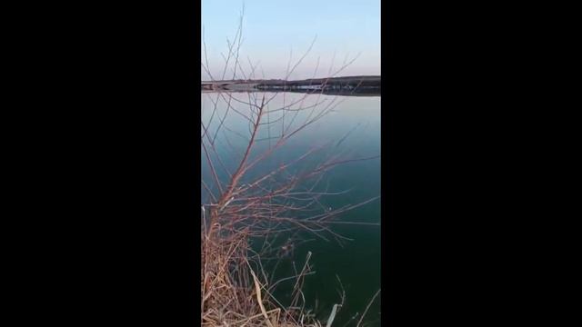 Шардара Қызыл Вагон Және Көксарай Шығыс Каналы Балық Жақсы Түсуде🐳🐟🐬👍👍👍