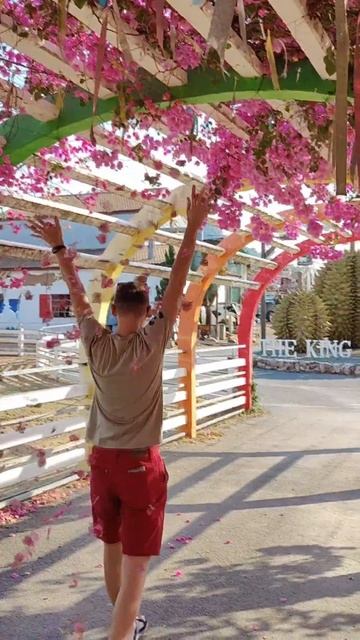 Я - рассеиватель счастья 🌪️🌸🌪️❤️🌪️🌸🌪️