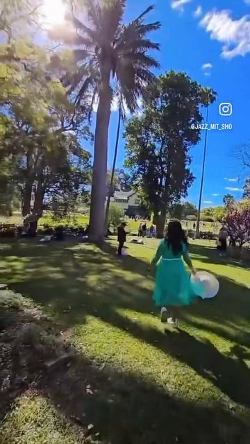 Cherry Blossom festival | Australia #trending #reels # travel #photography #touristspot #videos
