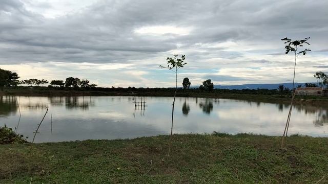Side view, Resort and Restaurant of Ratargul, Sylhet