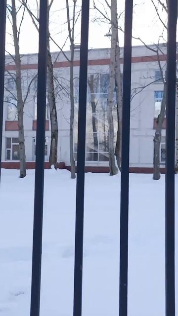 Геометрия Города #shorts