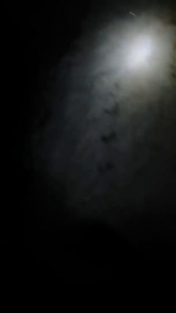 АНЕКДОТ. ЖОПА.