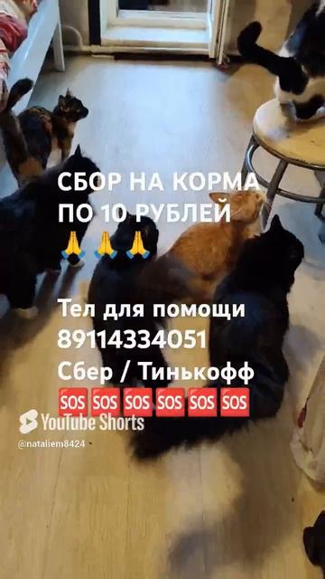 ЧЕЛОВЕК ПОМОГИ 🙏🆘