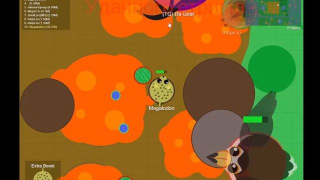 Играем в Mope.io ПЫТАЮСЬ ВЫБИТЬ МЕГАЛОДОНА | Playning In the Mope.io