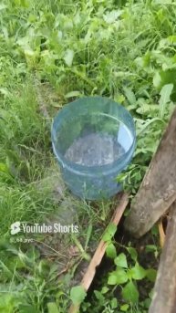 Сильный дождь 7 июня пятница 2024 год , время 15_45