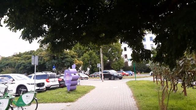Рябиновые горы с бабочками на рондо в Зеленой Гуре. Экскурсовод Сеньор Арсений.