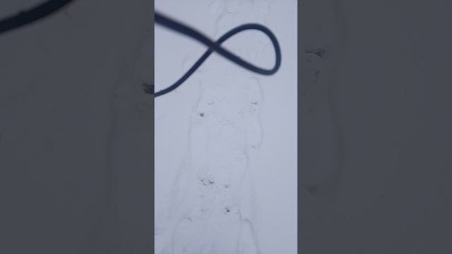 1000046044.mp4