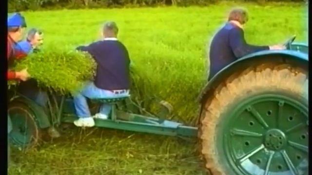 Irish Flax Farming - Growing Flax and Retting it in the Dam