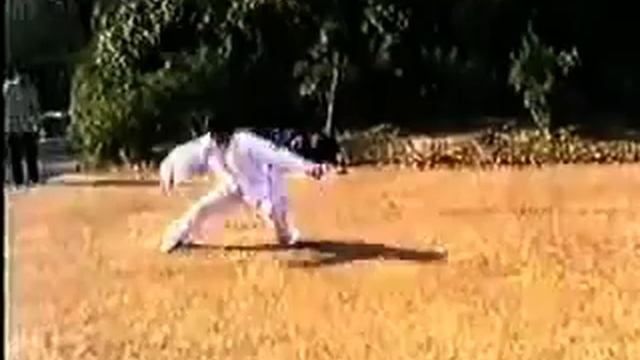 Lu Shi Mizong quan, Shanghai in the 1980's