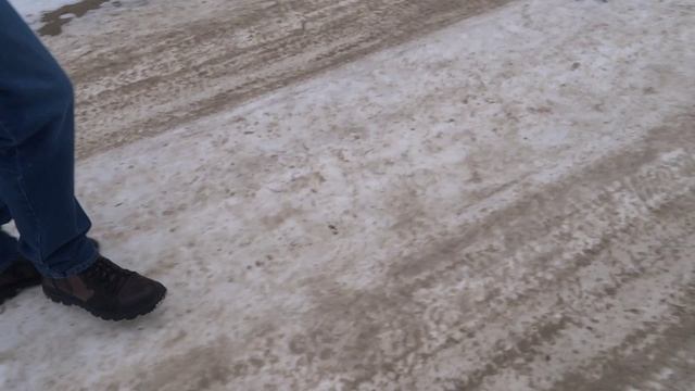 Оливочка прогулка 15022025