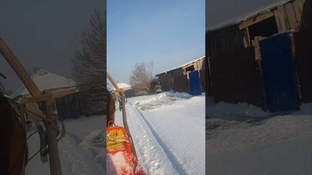 Выездка на санях морозным утром,едем на рысаке