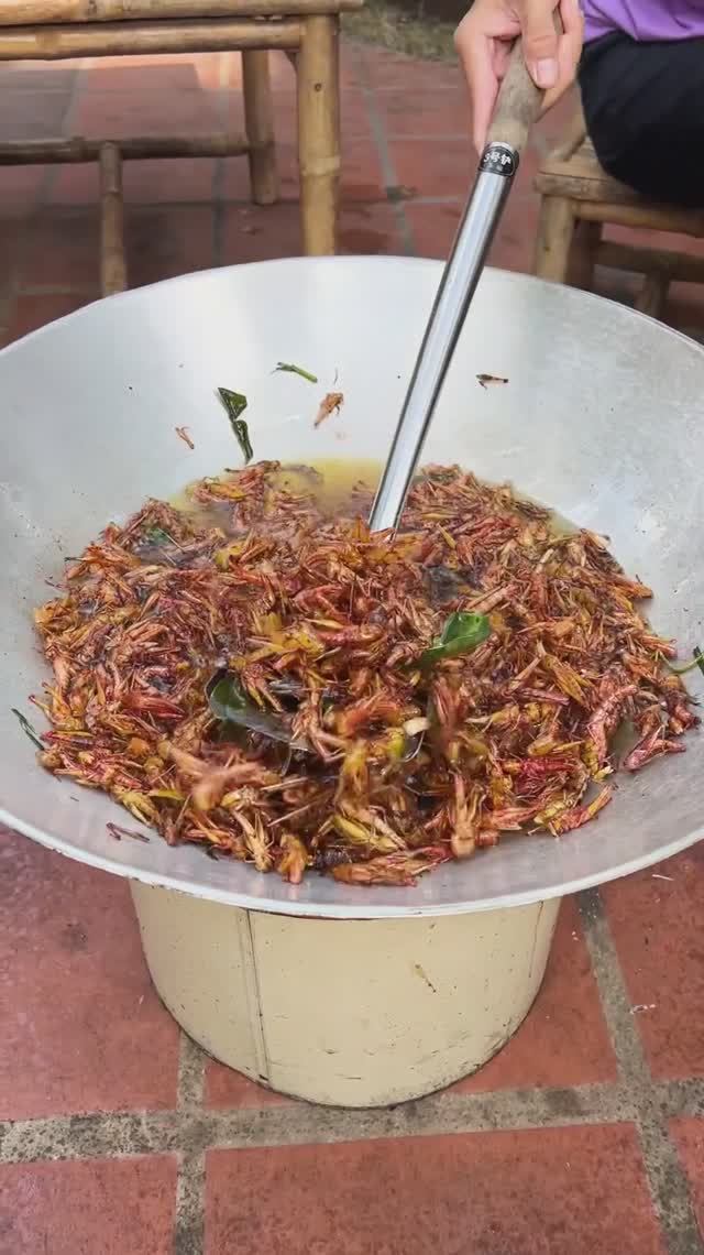 Кузнечики во фритюре и вкусные кулинарные насекомые
