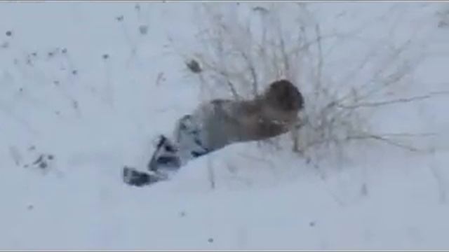 Вася не хоче в Армію