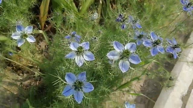 Анапа сегодня. Райский уголок курорта🌹🌺