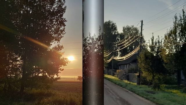 Кусочек лета.